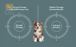 1 Annual Vs Lifetime Pet Insurance Coverage