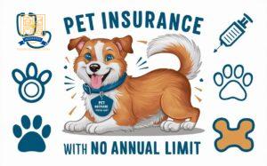 Pet Insurance With No Annual Limit