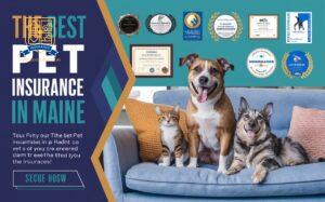 Pet Insurance in Maine